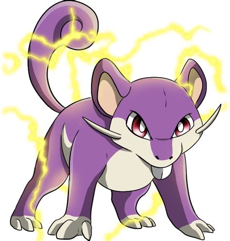 Rattata Pokédex: stats, moves, evolution & locations